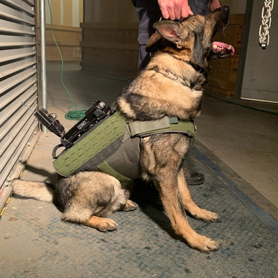 Recon K9 Seeks and Finds New Ballistic Partner