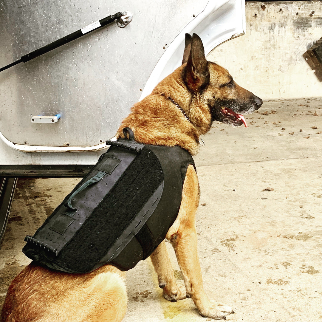 Ballistic K9 Vest