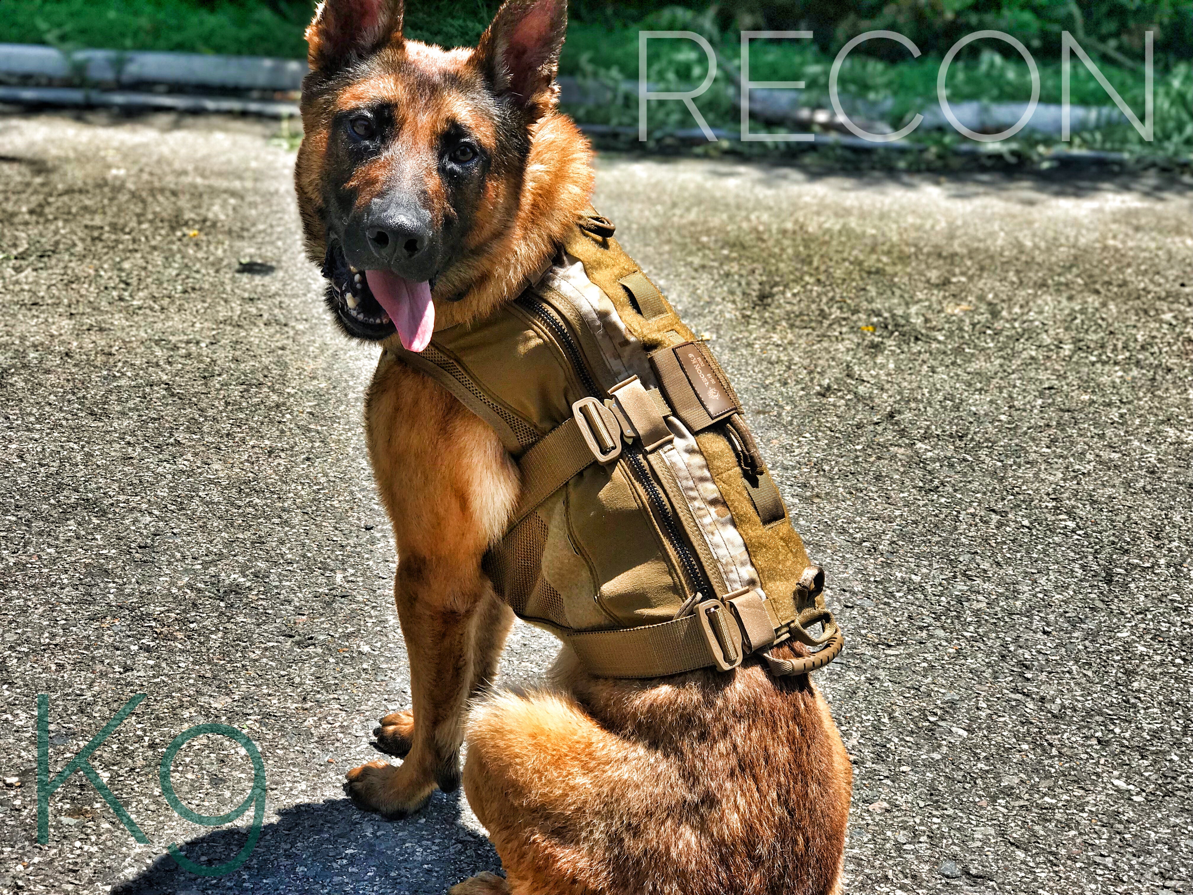 What To Consider When Ordering A K9 Dog Vest – ReconK9