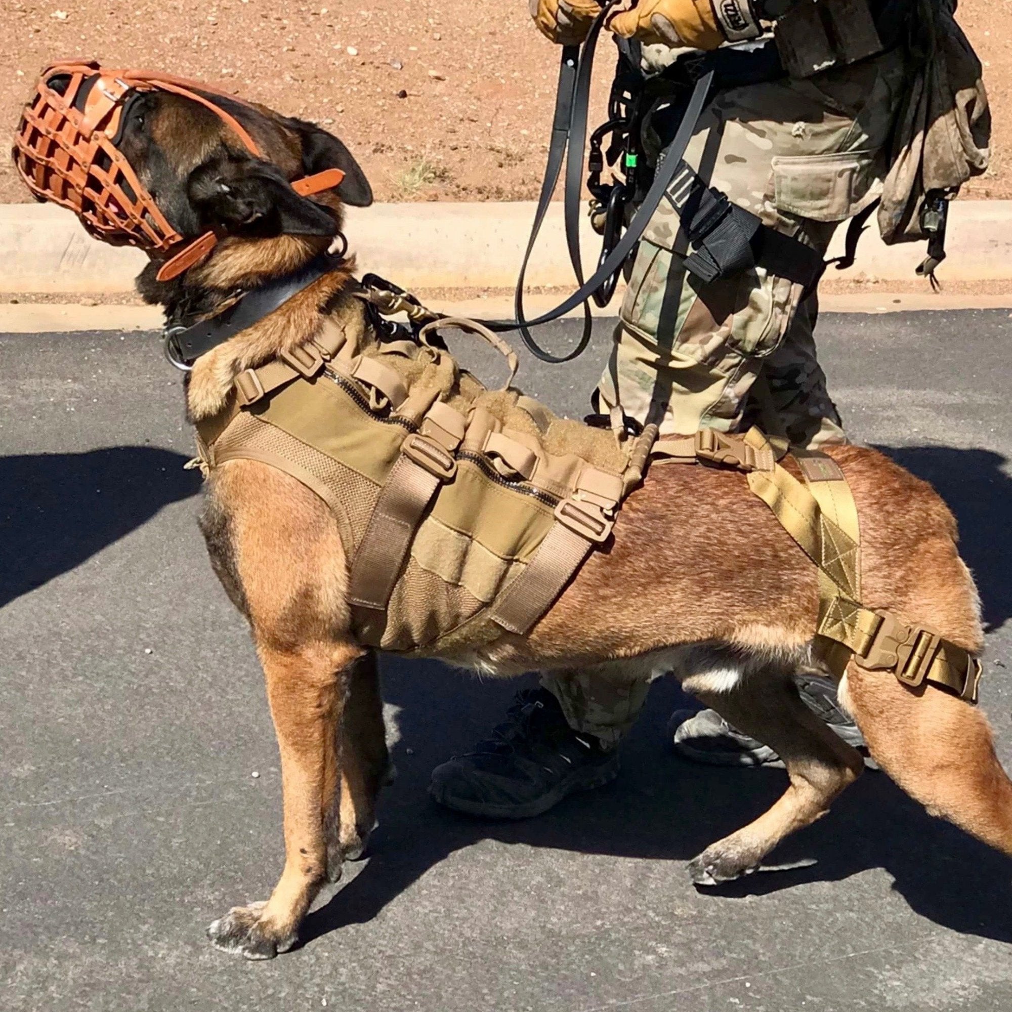 Crazy tuff k9 gear hotsell