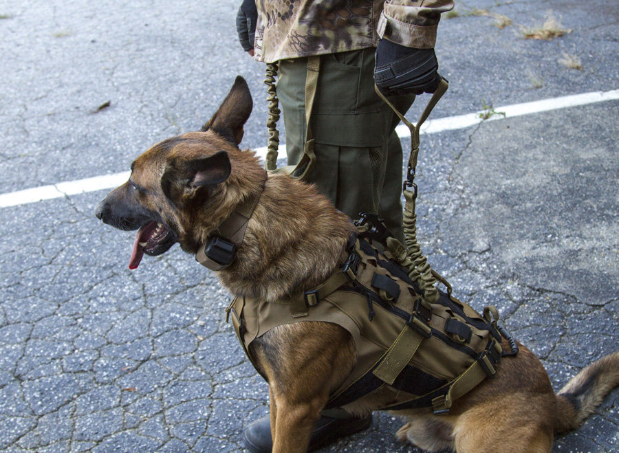 Military dog sling best sale