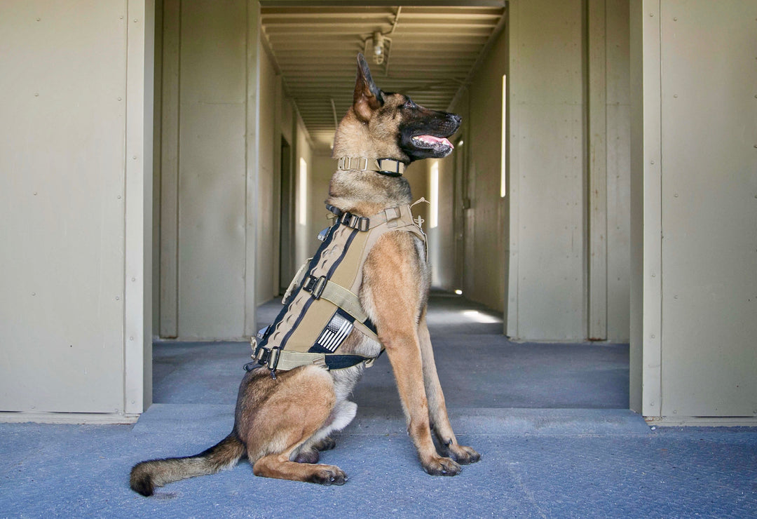 Vests & Harnesses