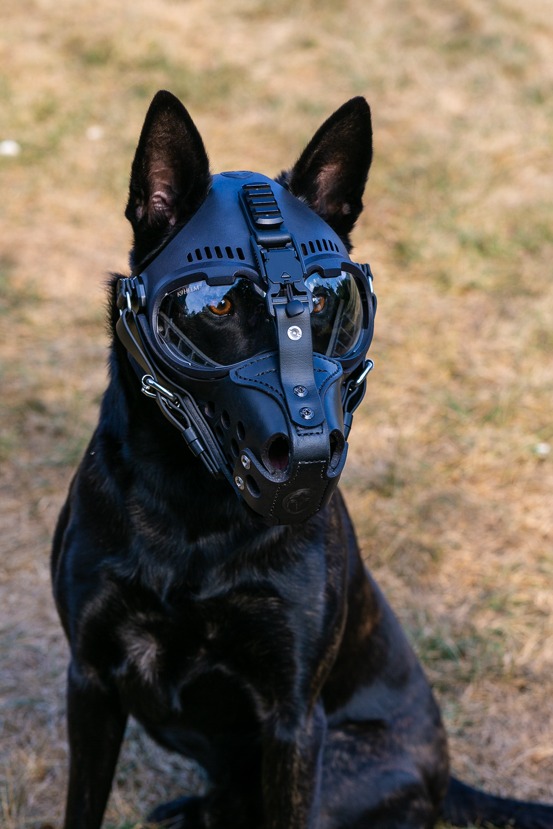 K9 Helm CS-1 GoggleHelm Complete Kit