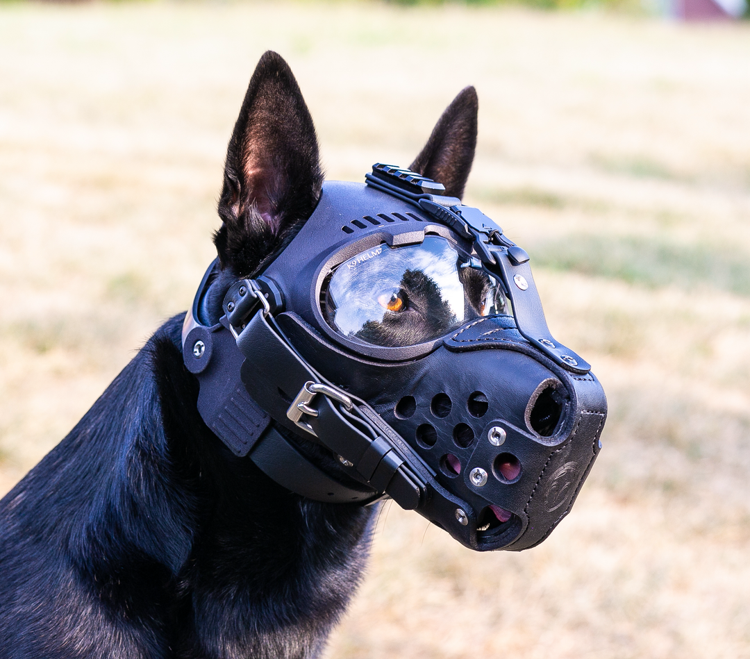 K9 Helm CS-1 GoggleHelm Complete Kit