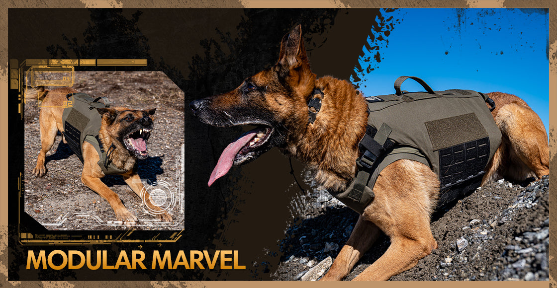 Recon K9 Police And Military Dog Gear Accessories – ReconK9