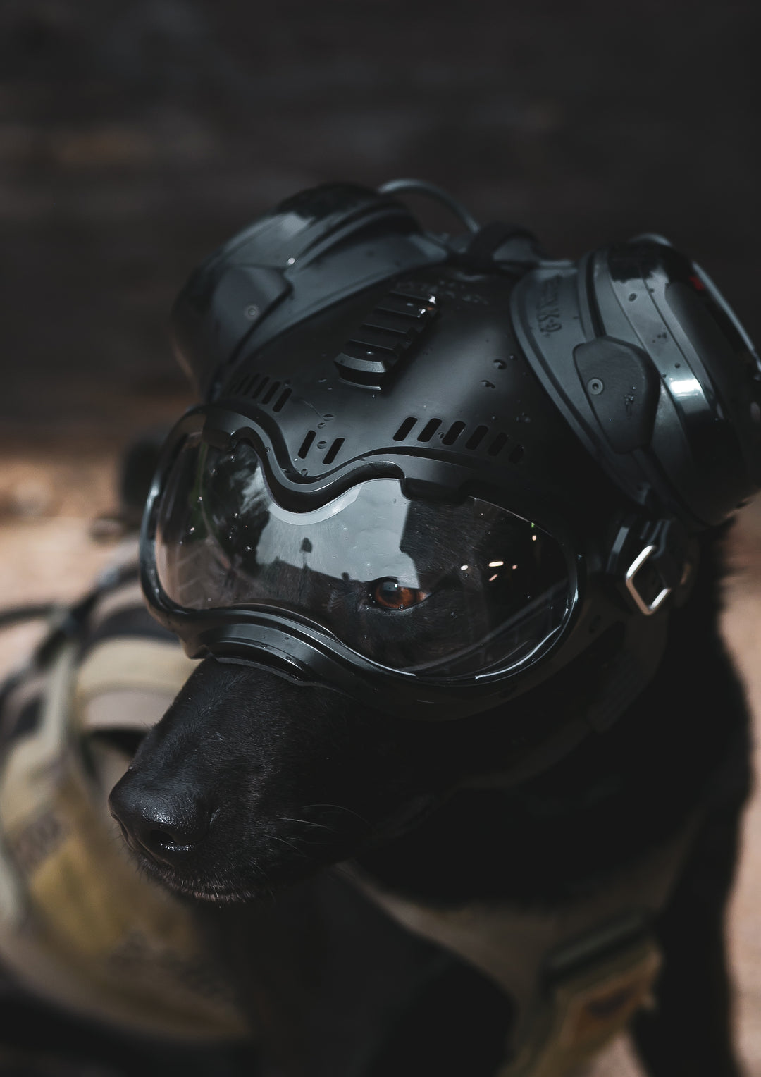 K9 Helm CS-1 Peltor Adapter Kit