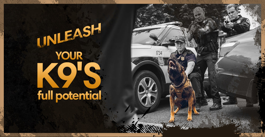 Recon K9 Police And Military Dog Gear Accessories – ReconK9