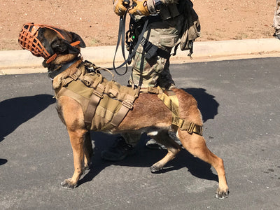 The Operator A Tactical Harness For Working Dogs
