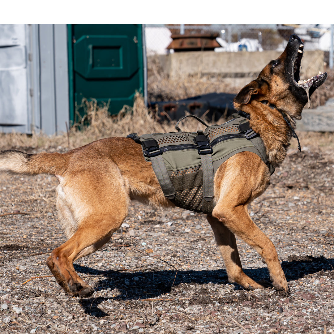 "DT Alpha" Tactical K9 Vest (VEST ONLY OPTION)