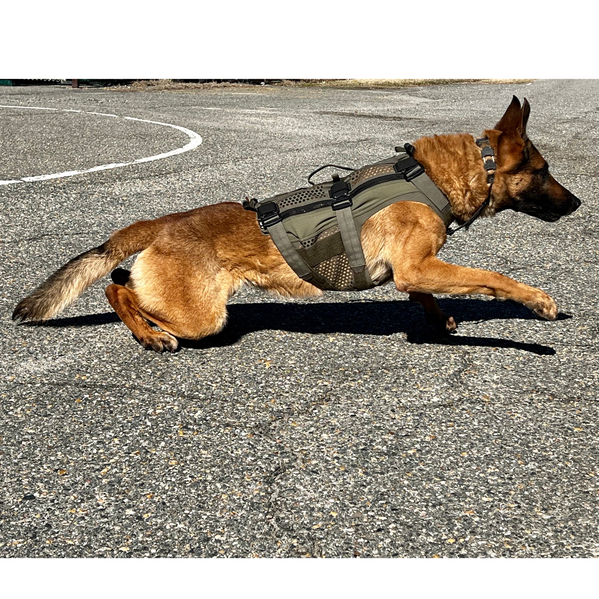 DT Alpha Tactical K9 Vest VEST ONLY OPTION