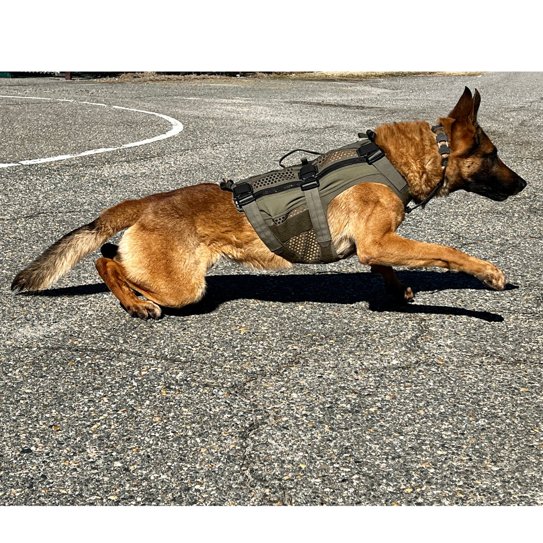 "DT Alpha" Tactical K9 Vest (VEST ONLY OPTION)