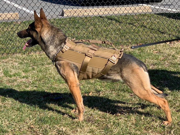 Dagger K9 Tactical Vest Complete Kit