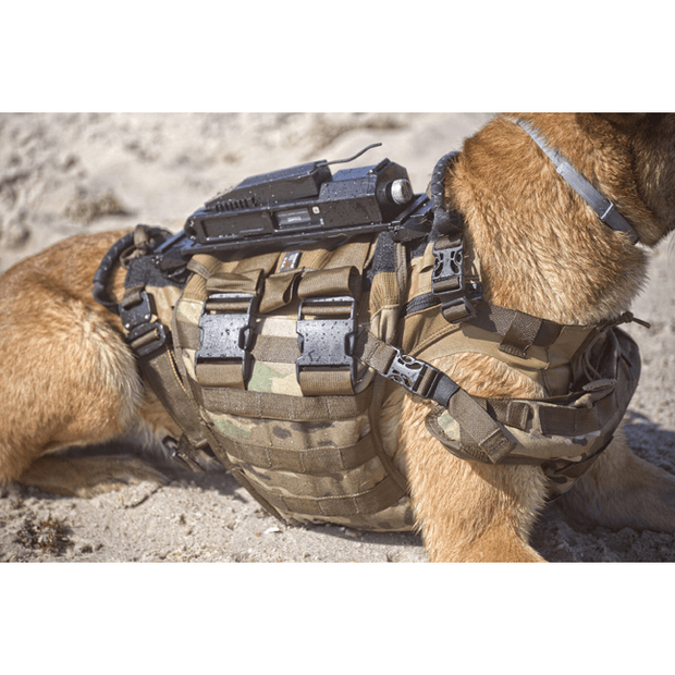 K9 dog equipment sale