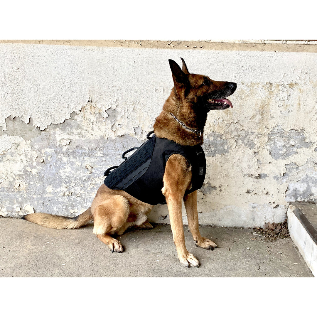 Working Police Dog Ballistic Vests Recon K9